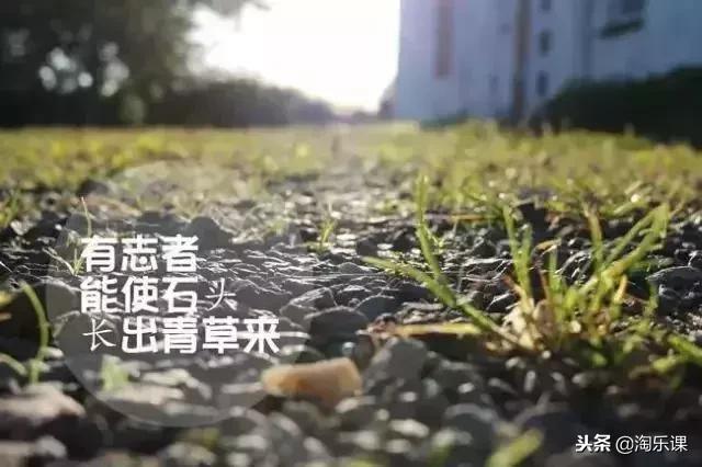小升初语文基础题答题技巧归纳,初中语文阅读理解答题技巧和模板