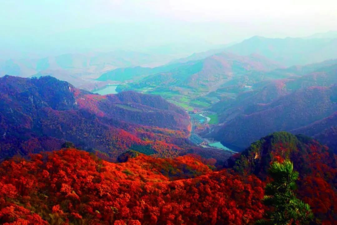 沈阳日报12月13日,沈阳新闻9月16日