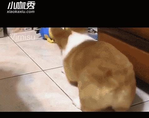 大长腿小皮裤，妹纸喊你来跳舞