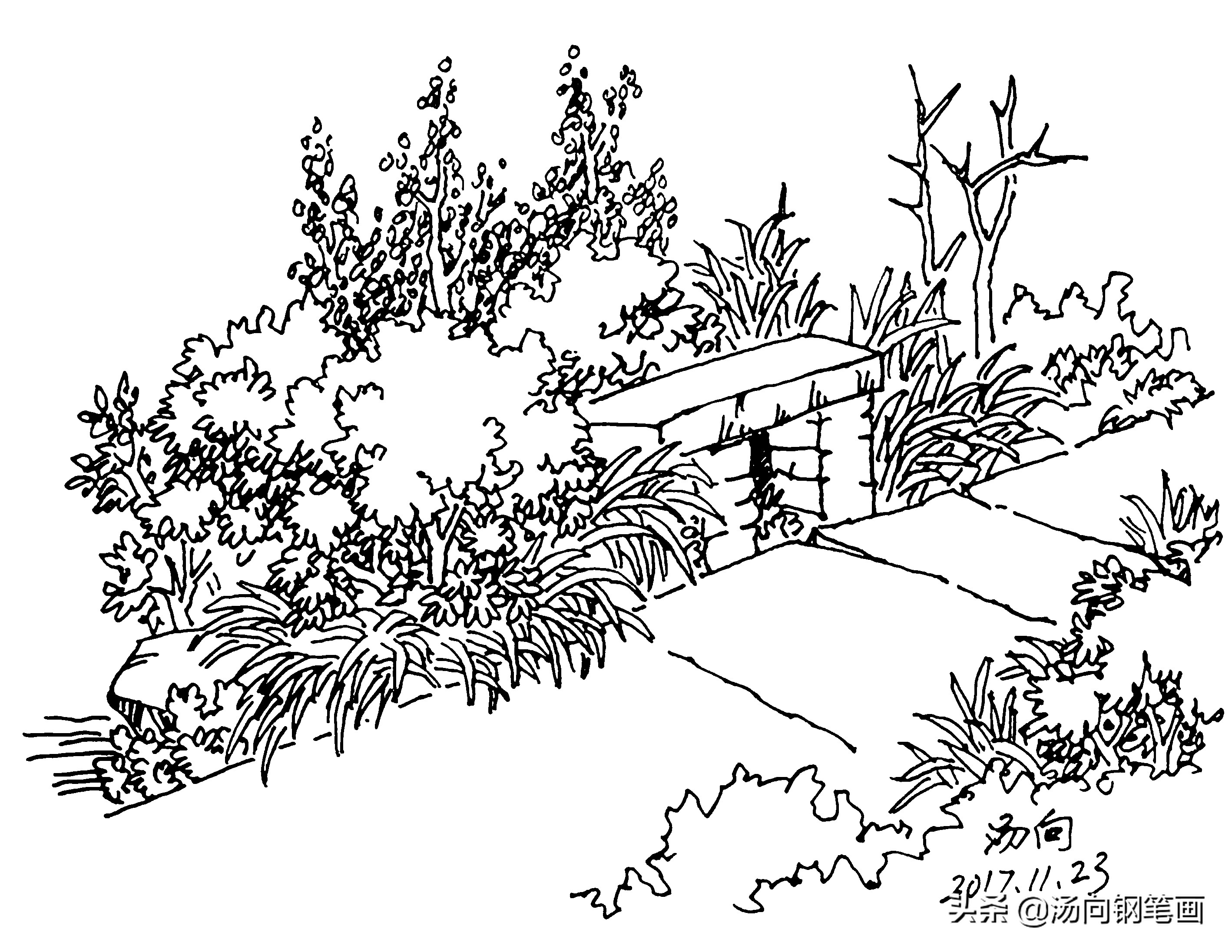 钢笔画入门教程100例,零基础钢笔画入门教程树枝组合