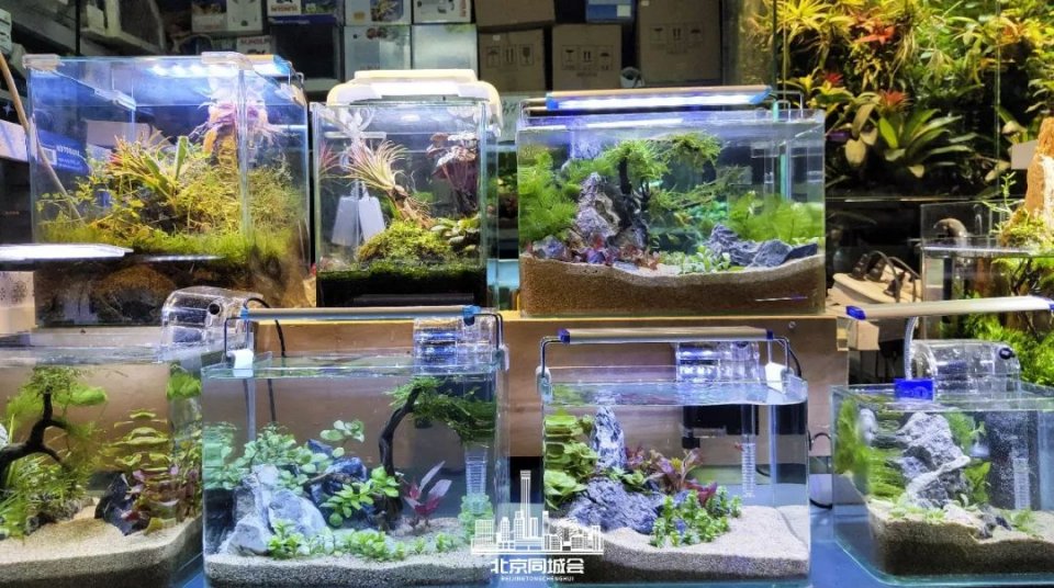 不去后悔去了更加后悔的景点,不去后悔去的景点