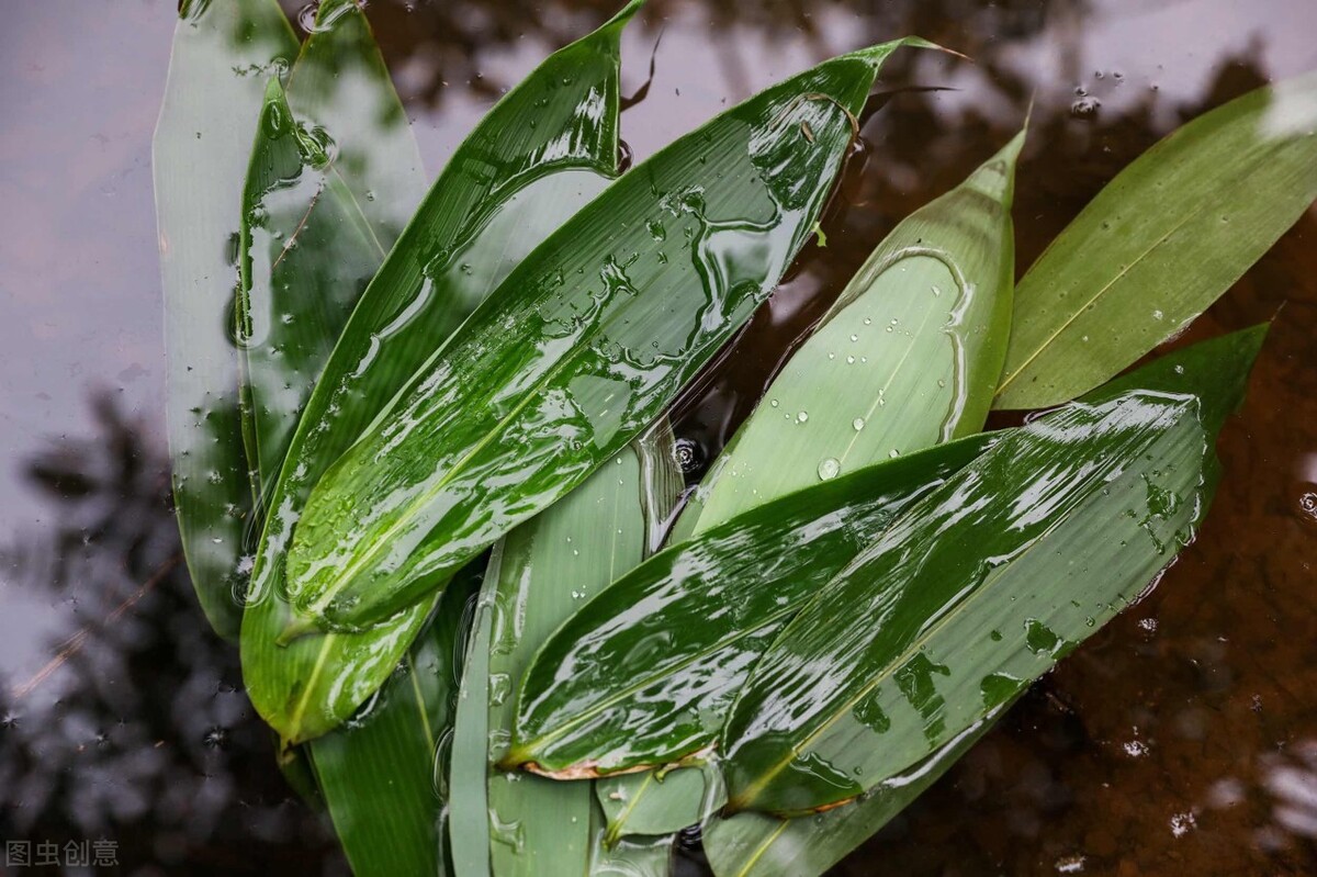 粽叶泡一下还是煮一下呢,粽叶是怎么泡比较好