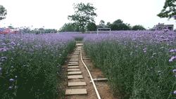 迟到的618好物推荐,618影像神器