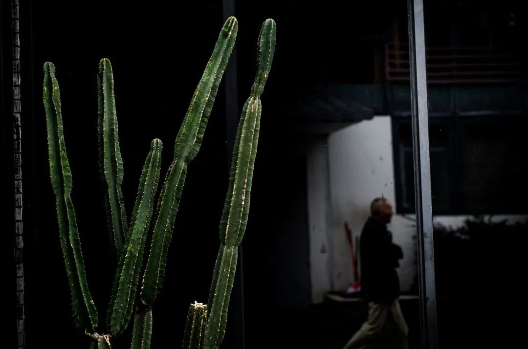 驴妈妈与马蜂窝旅游哪个更好,马蜂窝驴妈妈携程