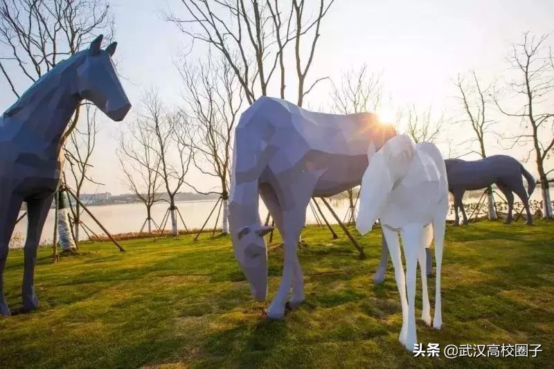 武汉东湖游玩攻略骑行路线,来武汉东湖绿道打卡玩法全攻略