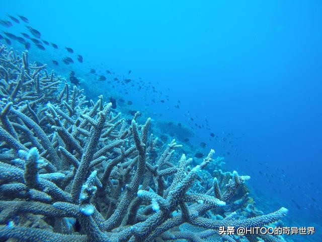 芽庄海滨图片,越南芽庄十大景点地图