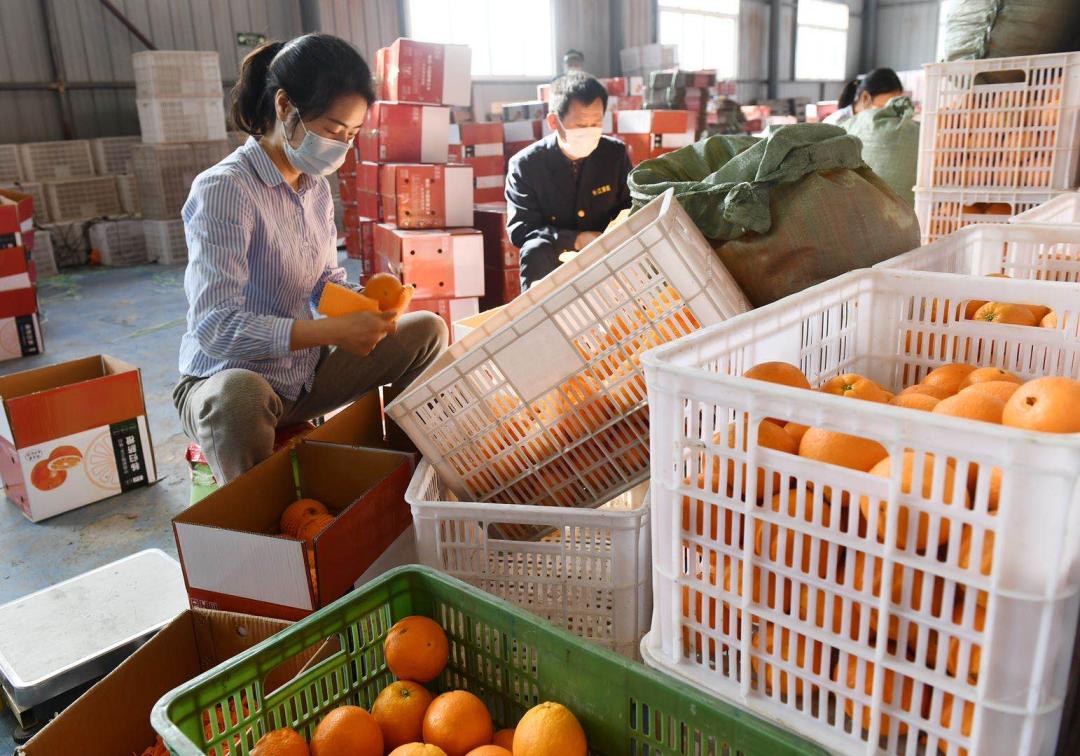 信已收悉,信已收悉什么意思