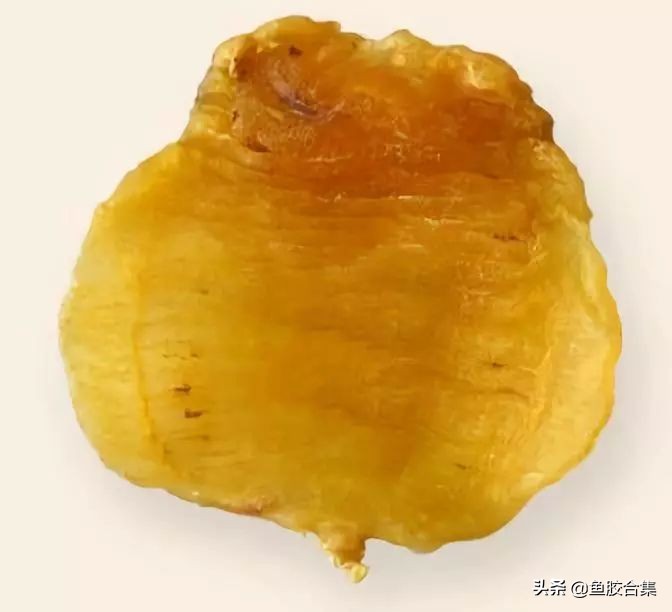 赤嘴鳘鱼胶,赤嘴鮸鱼鱼胶