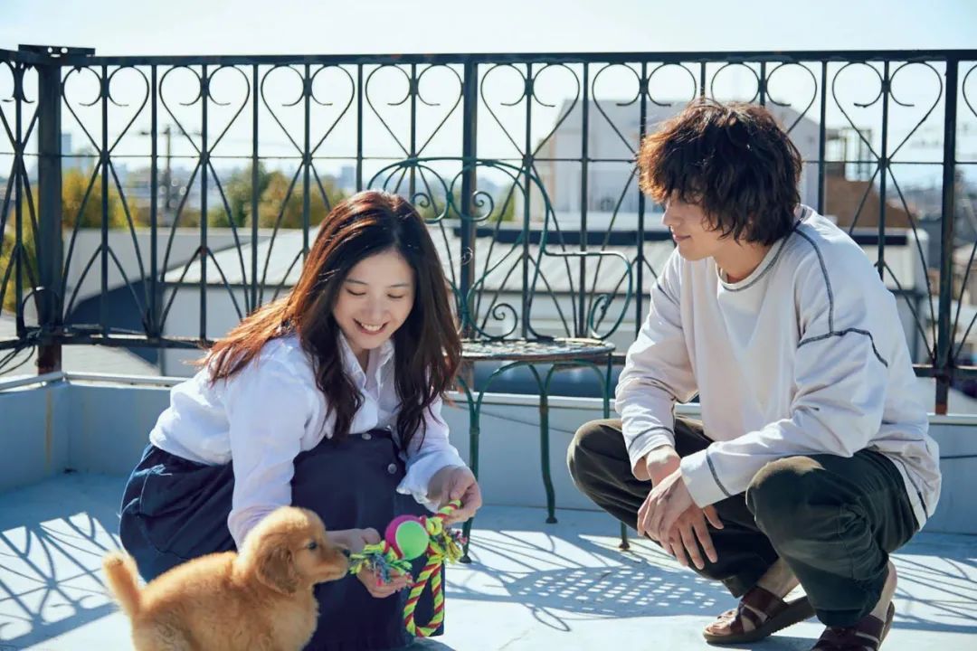 黯淡的2020，这些日韩电影在发光