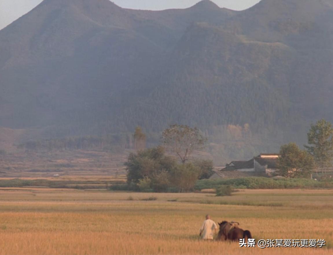 十年来国内评分最高奥斯卡电影 (一部真实的奥斯卡神作)
