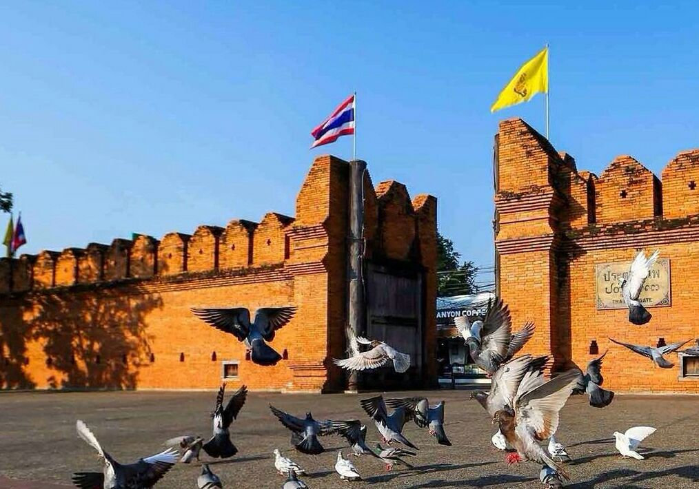 泰国清迈自由行旅游七天游,泰国清迈旅游白庙