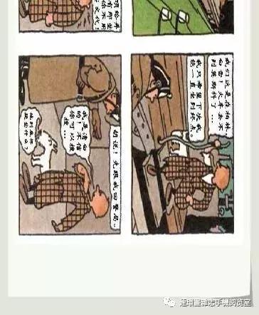 丁丁和丁丁历险记论文,丁丁历险记丁丁的服装