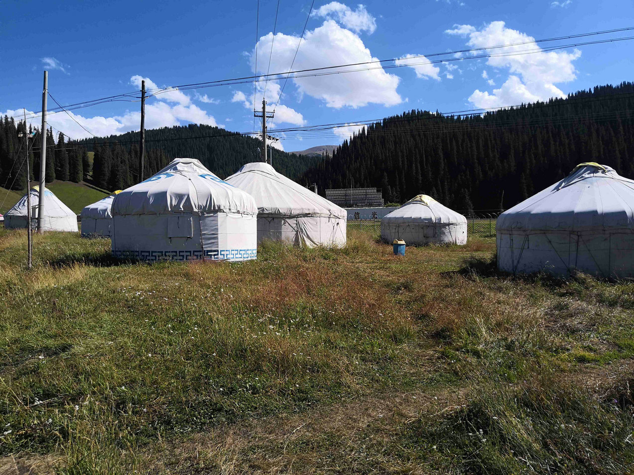 与*疆新**旅店老板共餐，直夸我土豆丝炒的好吃，后请我吃羊肉大餐