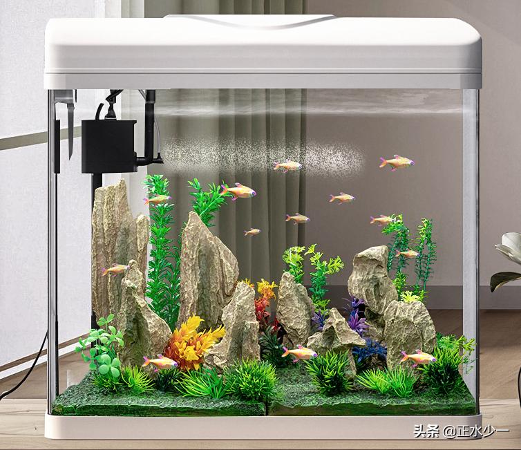 养金鱼适合圆形高杠还是低杠,金鱼怎么建缸容易养好
