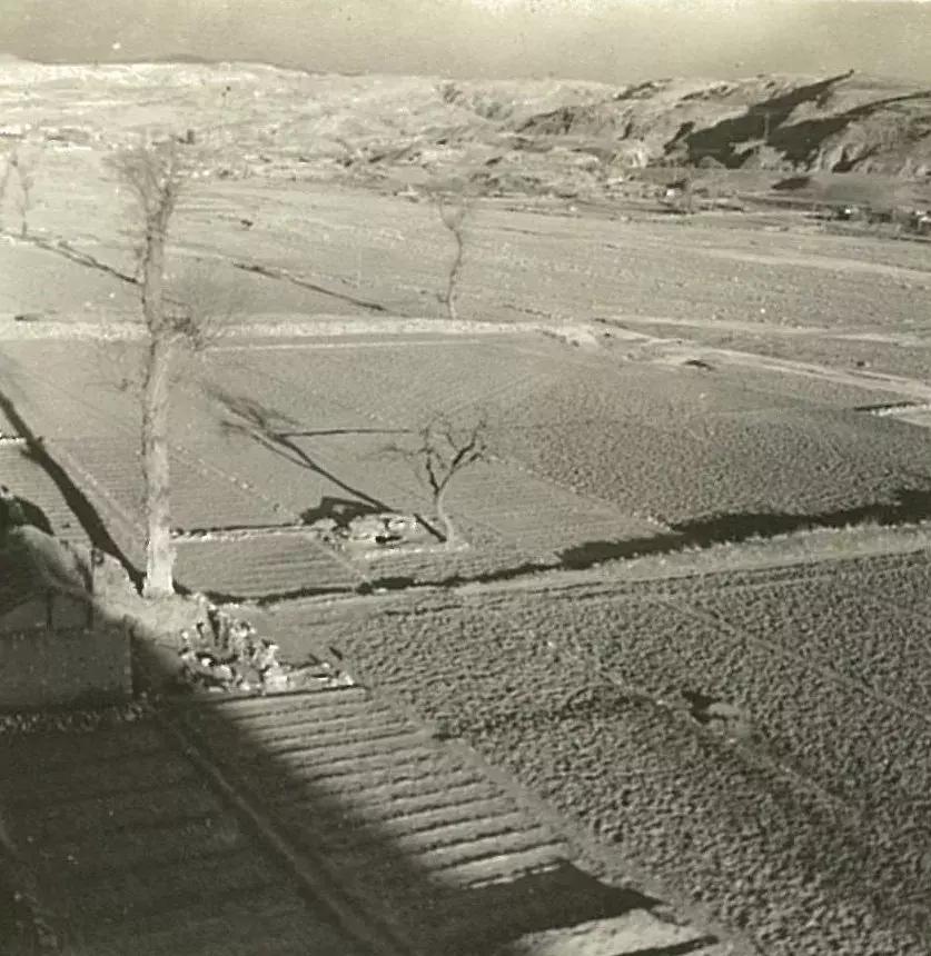 你可能没见过的姓氏,你可能没见过的日语