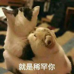 oppo手机截屏可以不保存吗,oppo手机截屏全都不能用了