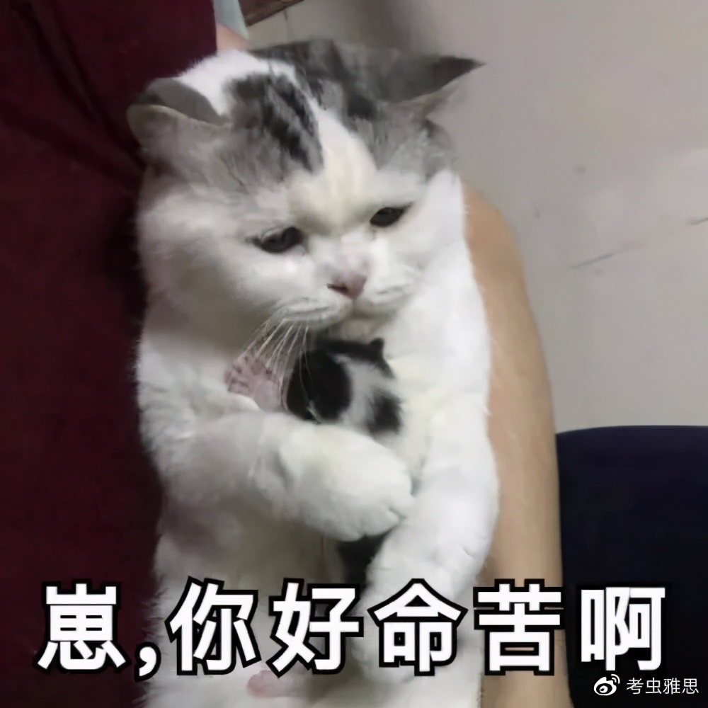 现在留学有没有被诈骗,警惕专门针对留学生的诈骗