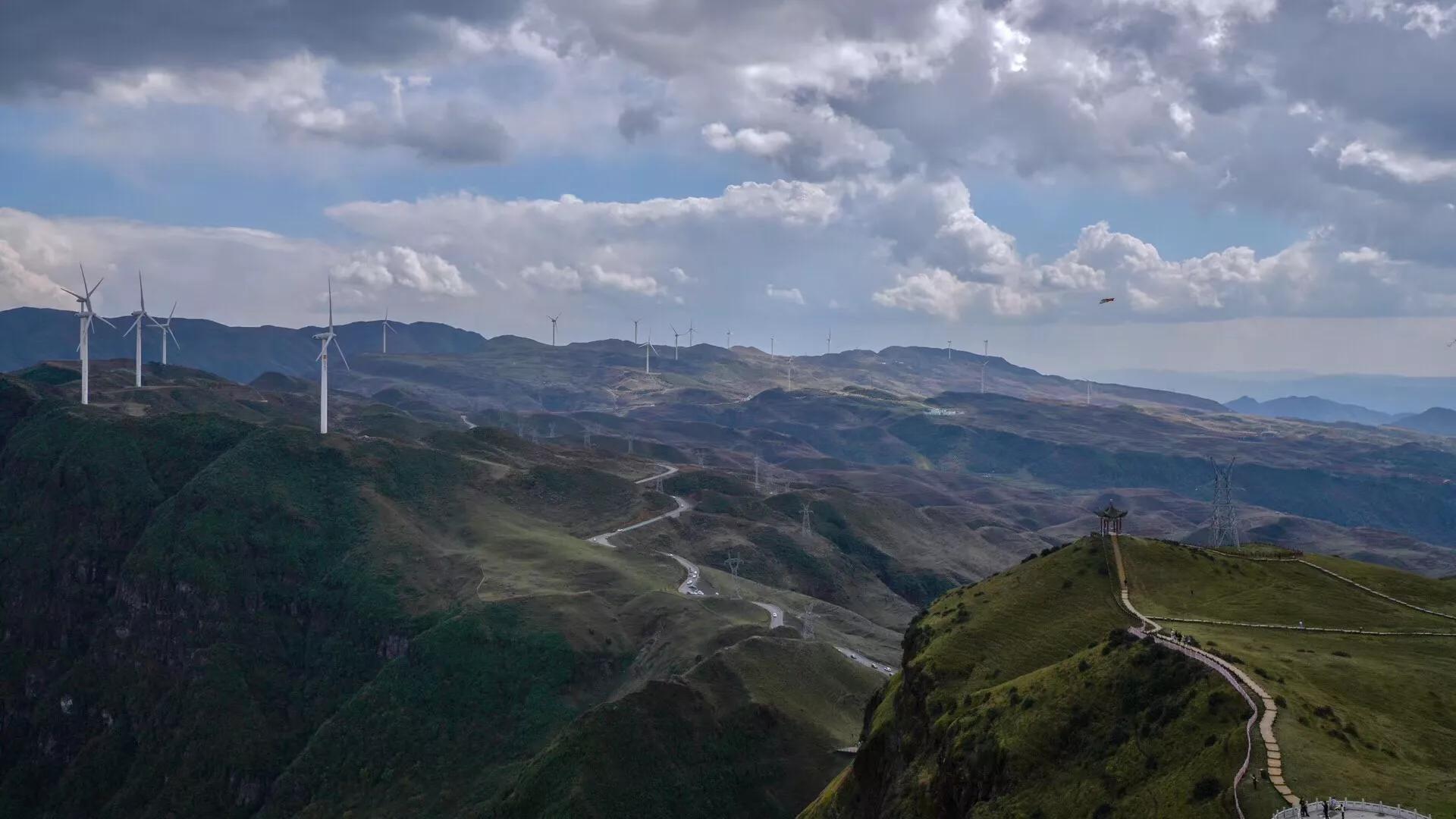乌蒙大草原高山矮杜鹃,盘州市乌蒙大草原高山