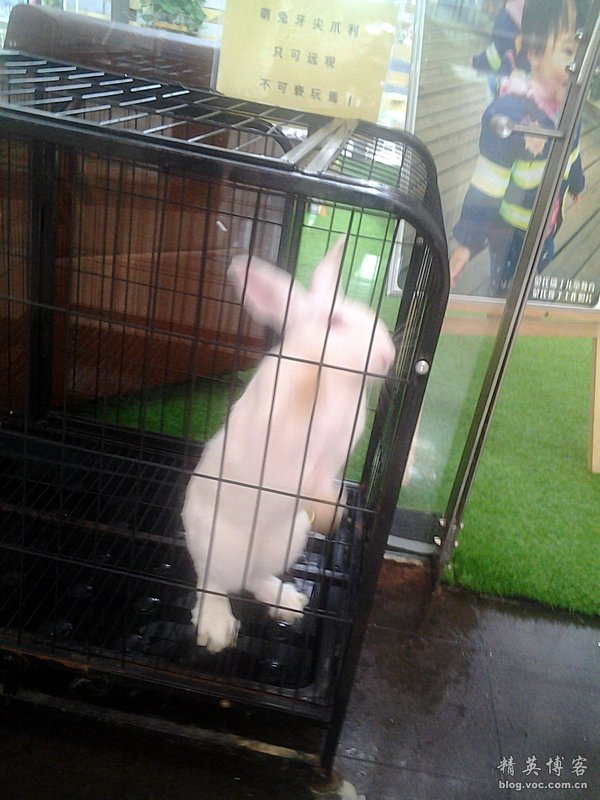 鏍床缇庣殑鏃朵唬骞垮満,鏍床缇庣殑鏃朵唬骞垮満鍋滆溅鏀惰垂