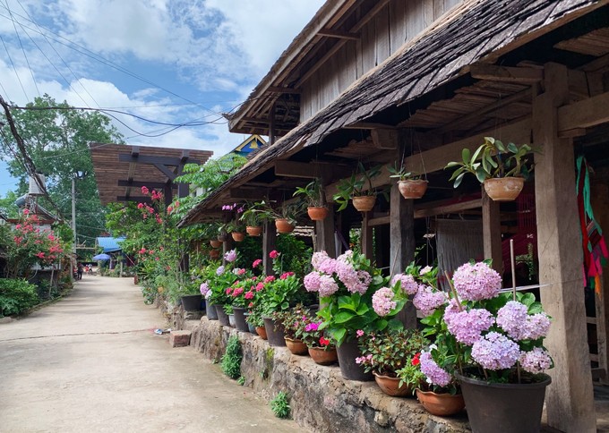 博悦旅游,云南西双版纳博悦