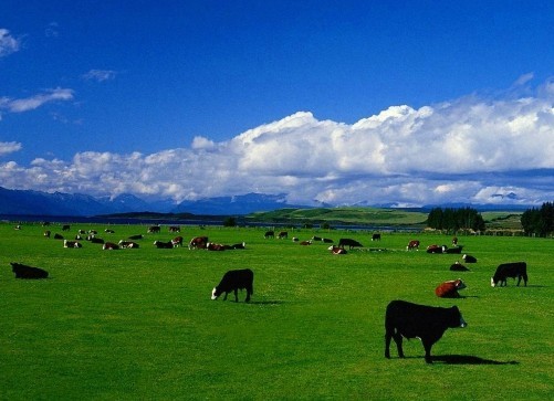 进口奶粉口碑最好的前十名品牌,进口奶粉品牌口碑最好的前十名