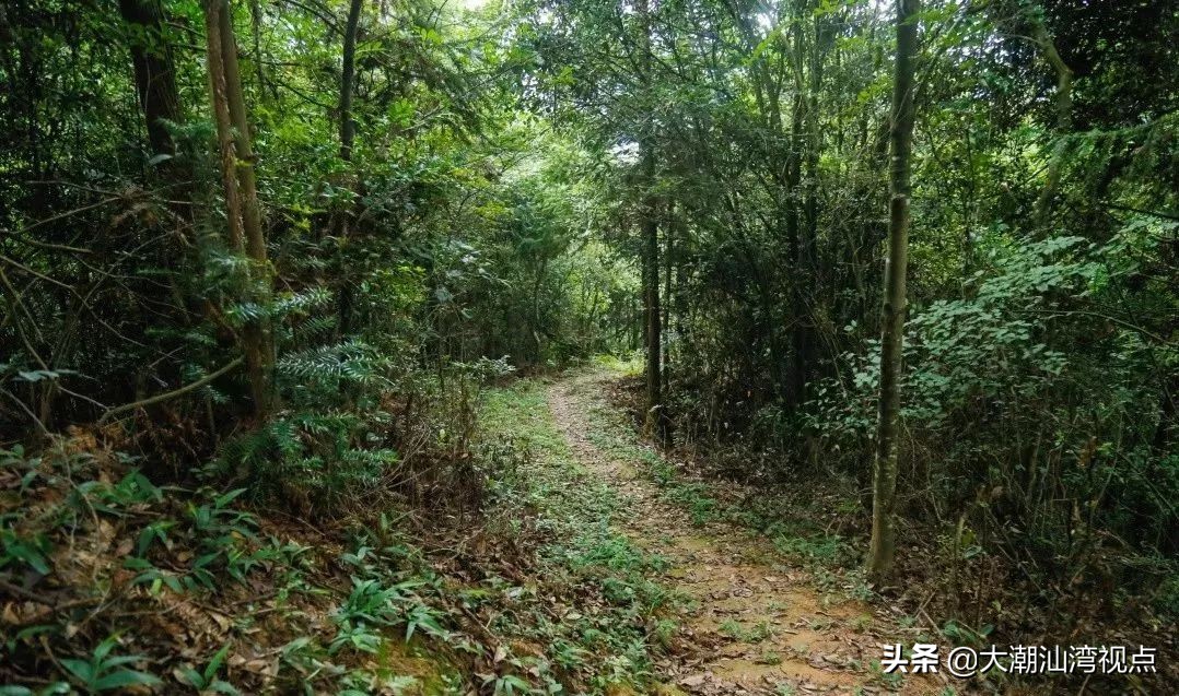 广东梅州丰顺旅游景点推荐,潮汕饶平旅游景点推荐