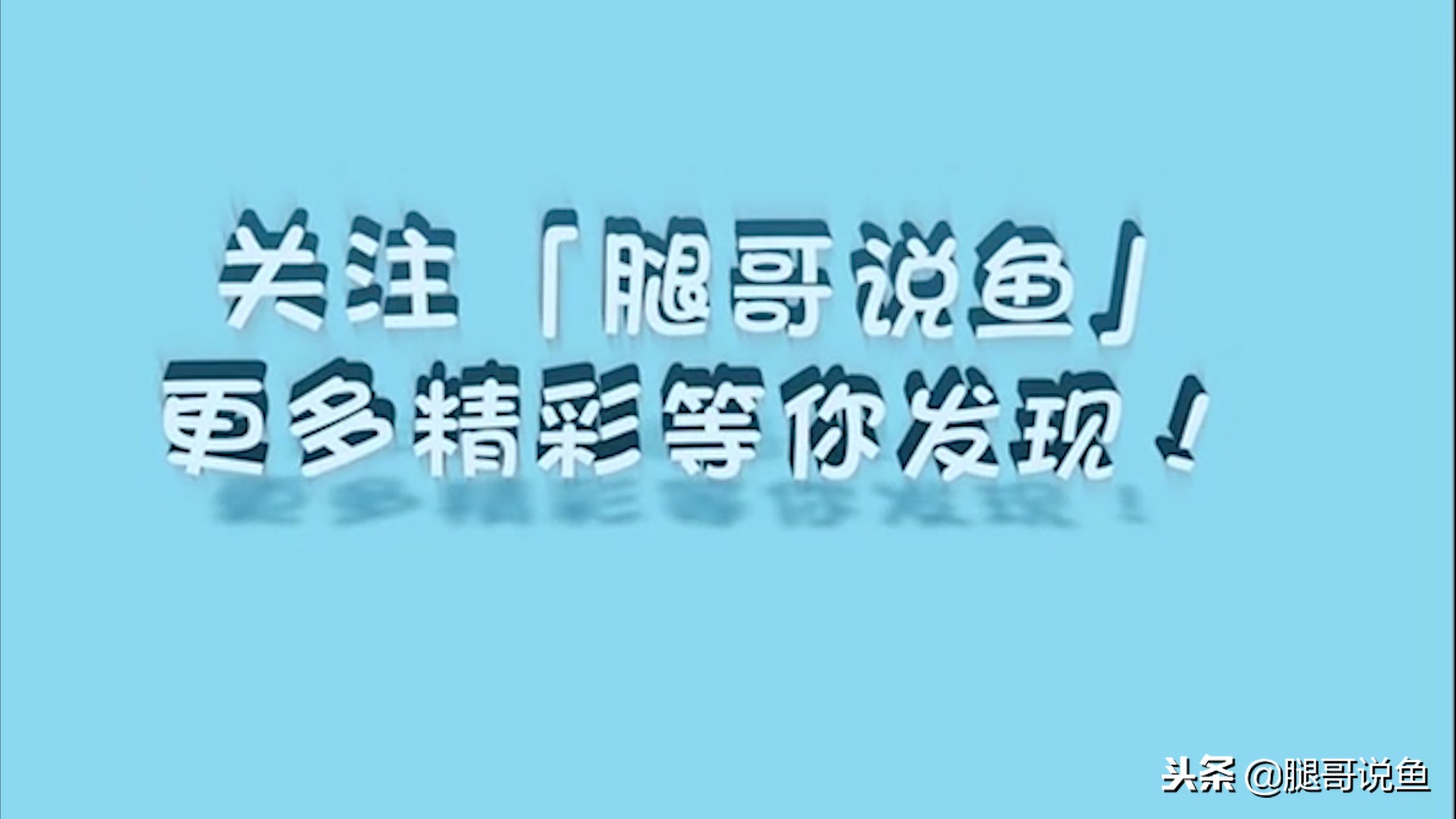 黑尾红月光可以和玛丽球鱼混养,适合新手养的纯黑色鱼