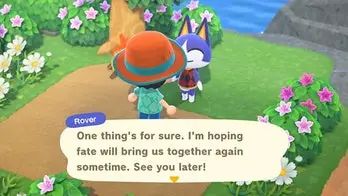 动物森友会背后的恐怖故事,动物森友会少女心爆棚粉色系日常