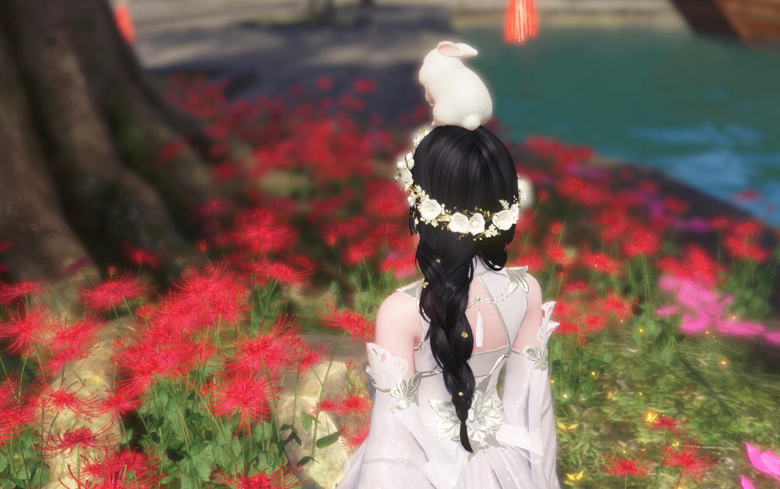 天涯明月刀各个职业技能,天涯明月刀新区推荐心法