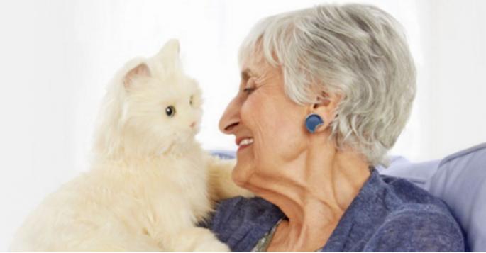 怎样预防猫的尿路结石,猫尿结石怎么治