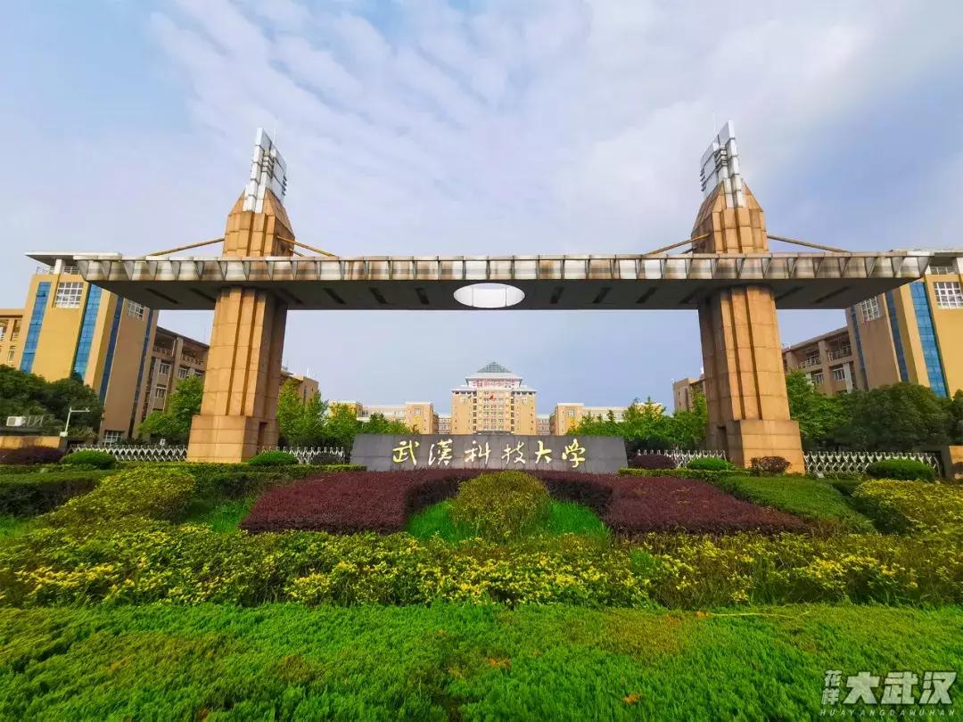 武汉科技大学的机械学院,武汉科技大学医学院和临床学院