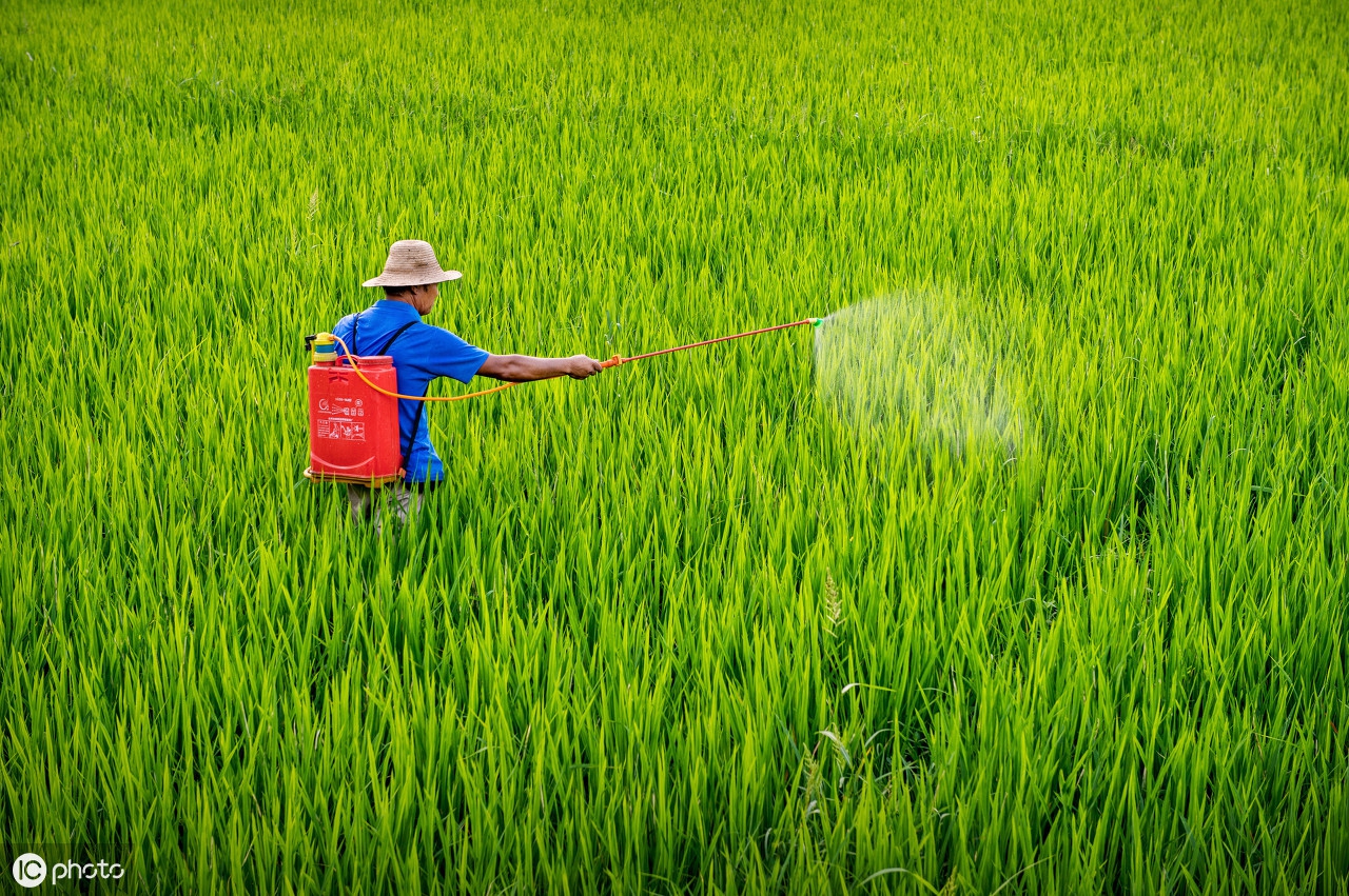 杀菌剂防治病害的原理有哪些,十种常用杀菌剂有哪些