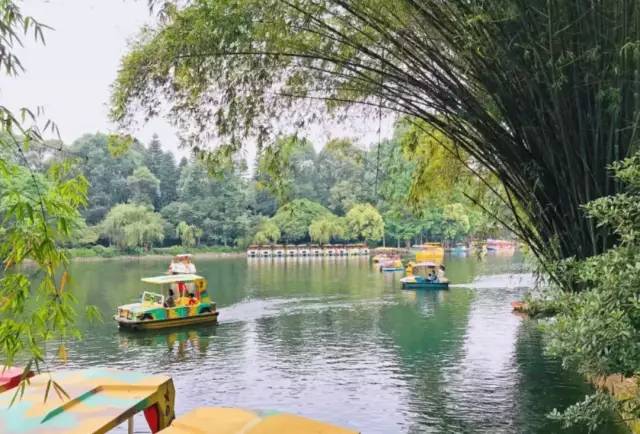 看看纽约中央公园的美景,真实的纽约中央公园