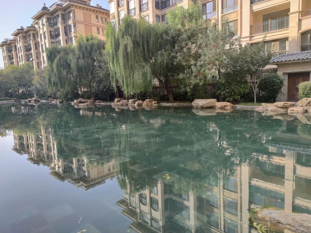 实探一线湖景房,石家庄房产探盘排行榜前十名