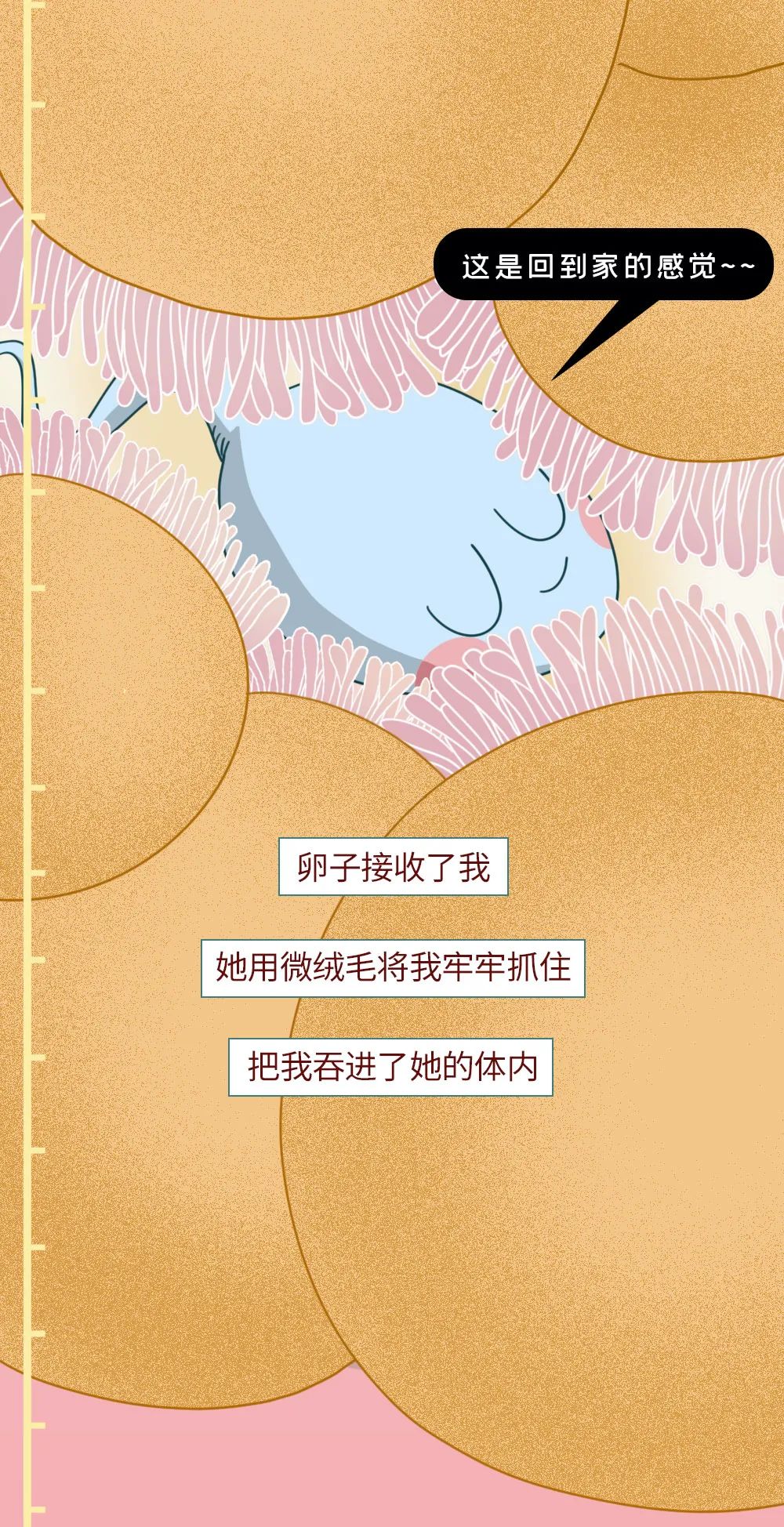 精子进入人体24小时变化,男性精子在体内存活时间