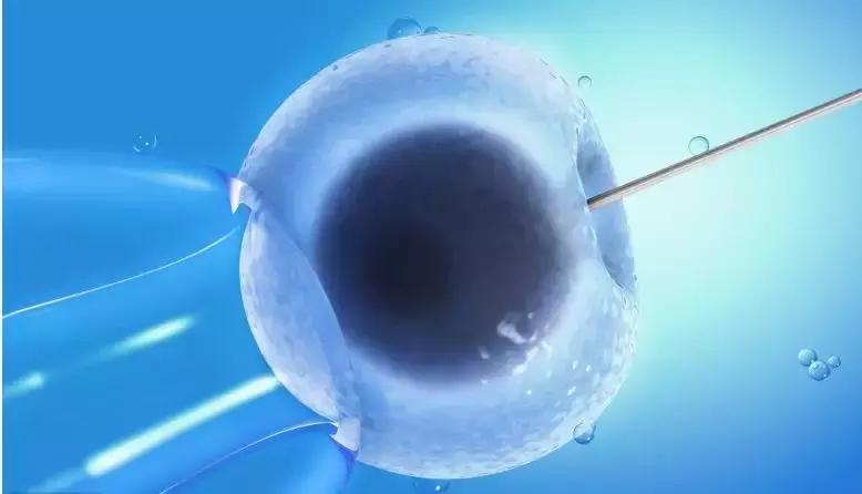 冻卵的真实原因,不允许冻卵的真实原因