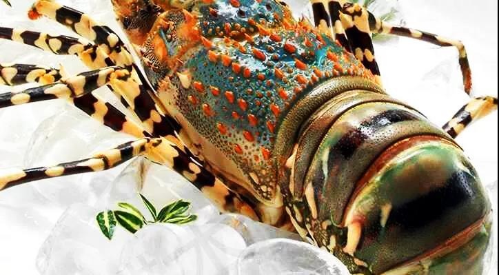 渔家女揭露海鲜市场黑幕,渔家女海鲜视频