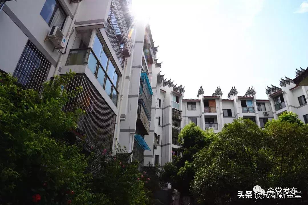 成都金堂服务员,金堂县装修师傅