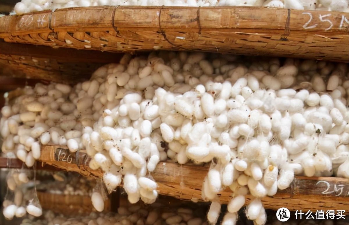 别就知道抱着自己取暖，这5款“贴心小棉被”睡了的都说好