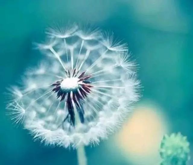 人生和电影一样都是以余味为标准,人生与电影一样都是以余味定输赢