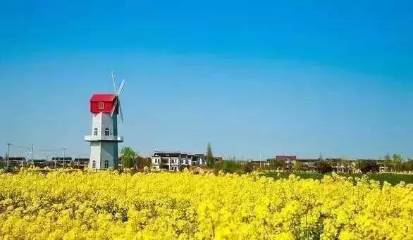 狂飙18级,狂飙18集公路飙车片段在哪