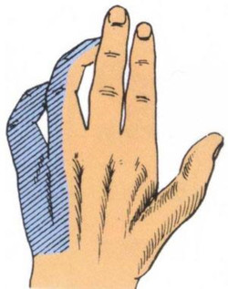 陶勇受伤近8月左手未恢复触觉,陶勇伤医前因后果