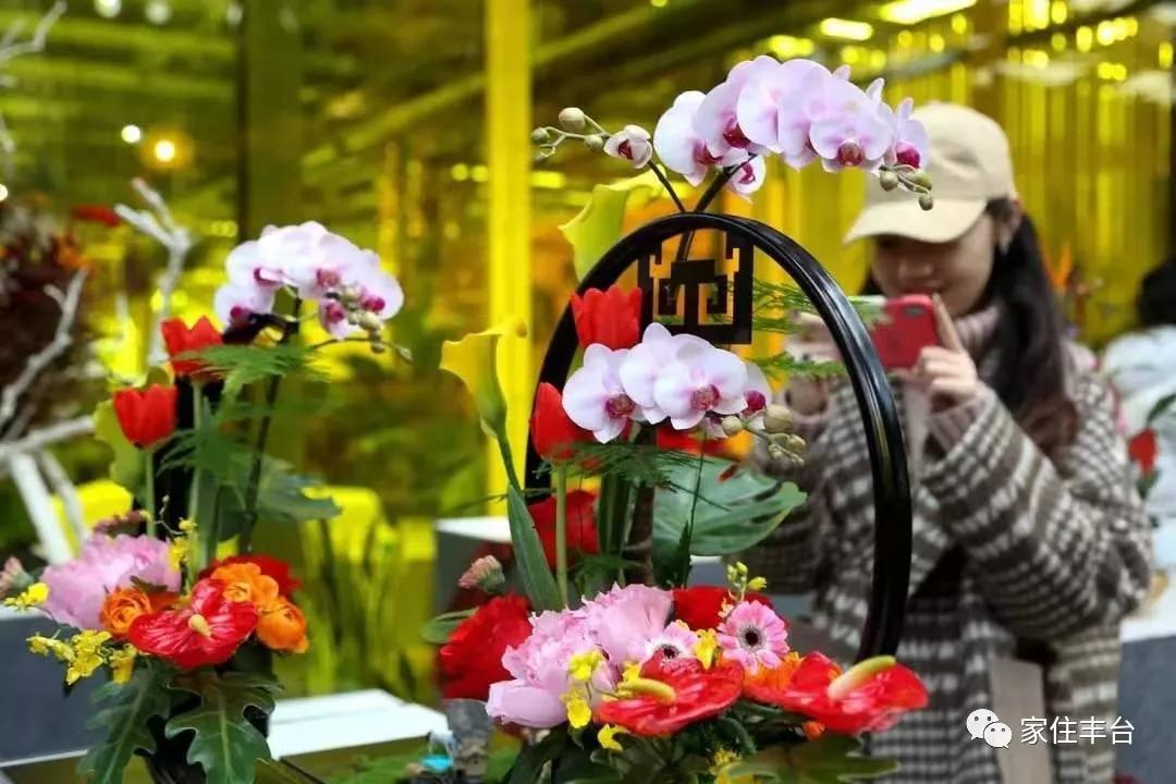 丰台四大花市在哪里,北京丰台值得逛一逛