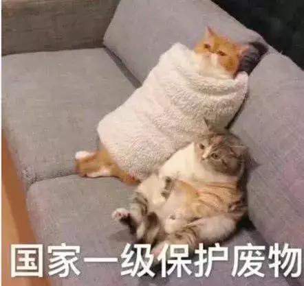 洗钱1个亿给小李子拍电影,这波“金融海盗”操作有点骚