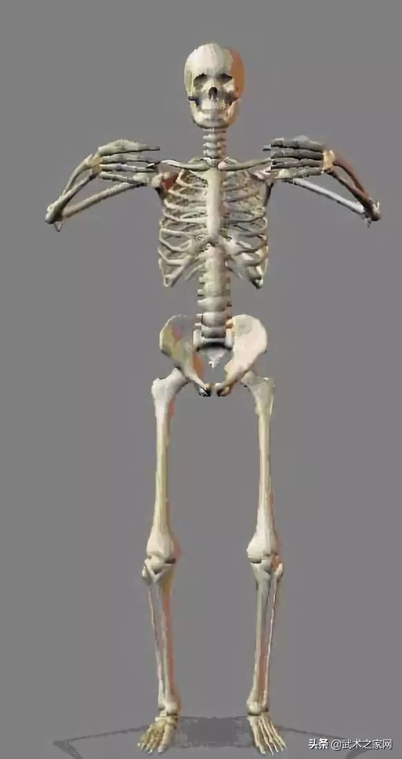 姚承光意拳站浑圆桩教学视频,意拳浑圆桩