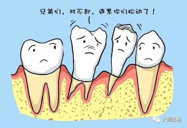 牙齿全部松动还能固定不松动吗,牙齿松动用舌头顶松动