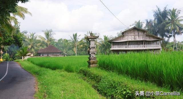 巴厘岛值得一游吗,旅行记推荐
