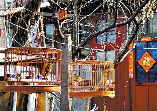 北京最值得看的十大胡同,北京值得看的十条胡同