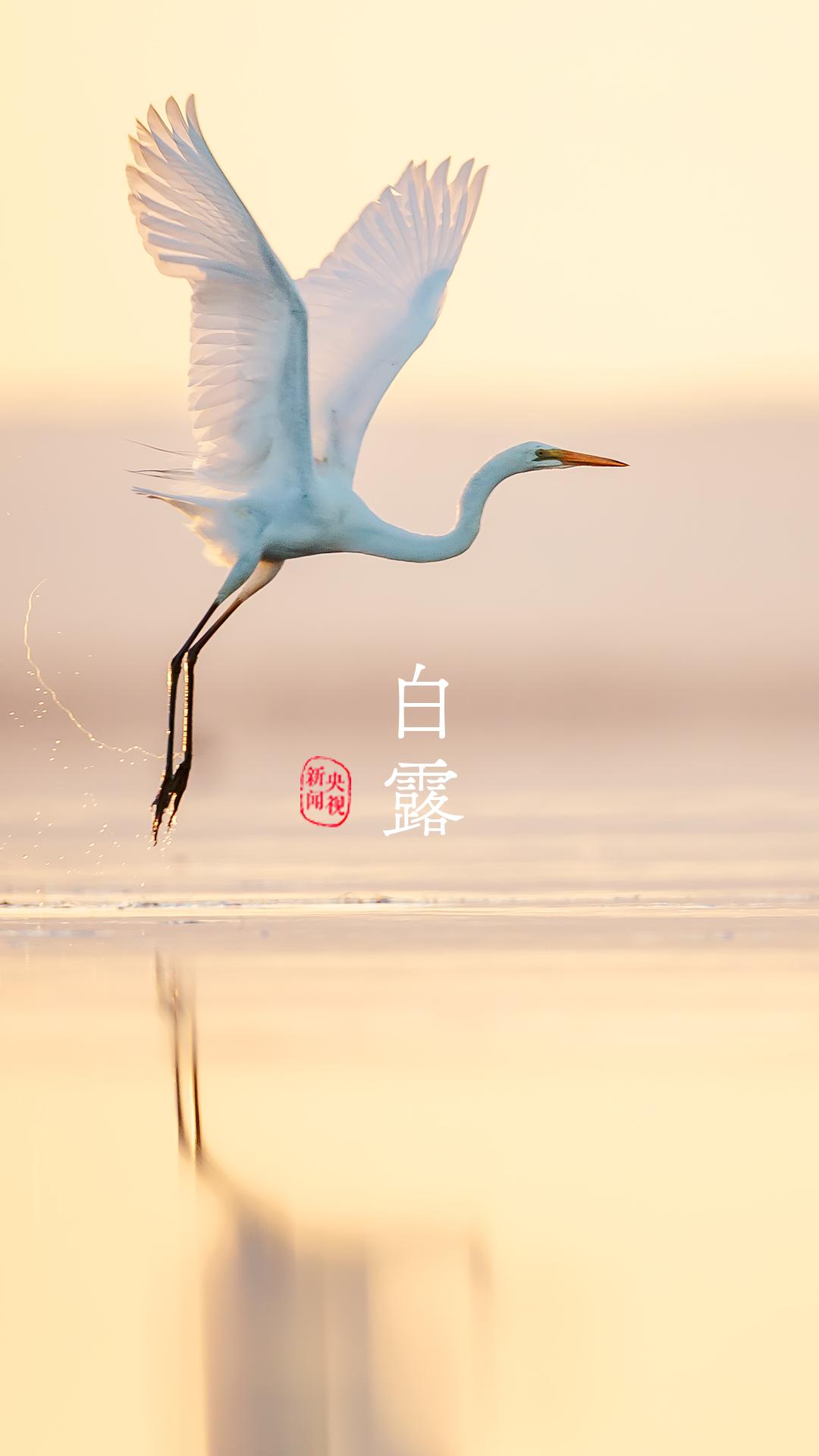 央视珍藏二十四节气手机壁纸,二十四节气壁纸手机超清全面屏