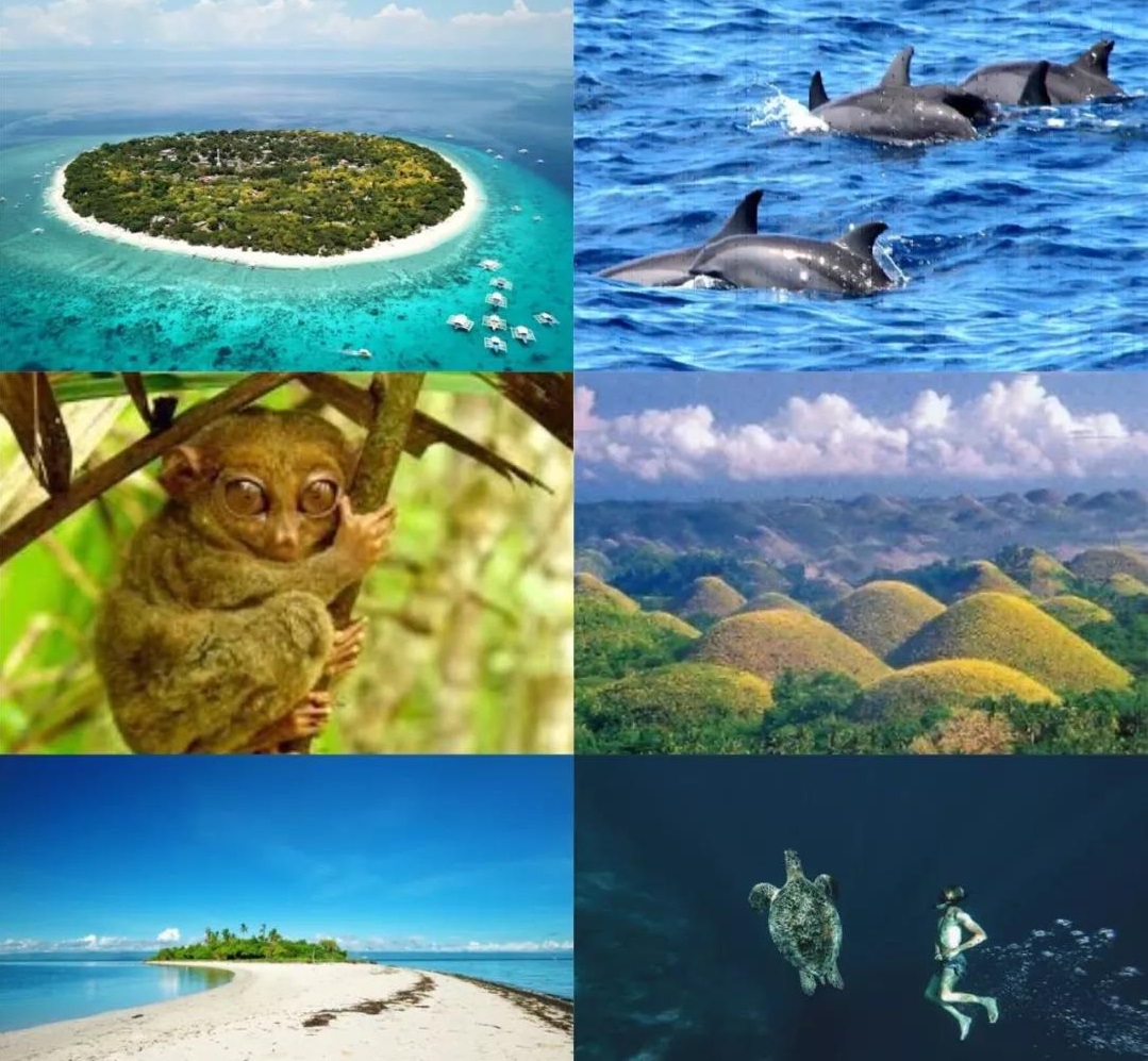 菲律宾最美十大海岛可以钓鱼吗,菲律宾最适合度假的岛